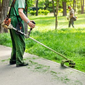 Worker mowing tall grass with electric or petrol lawn trimmer in city park or backyard. Gardening care tools and equipment. Process of lawn trimming with hand mower.